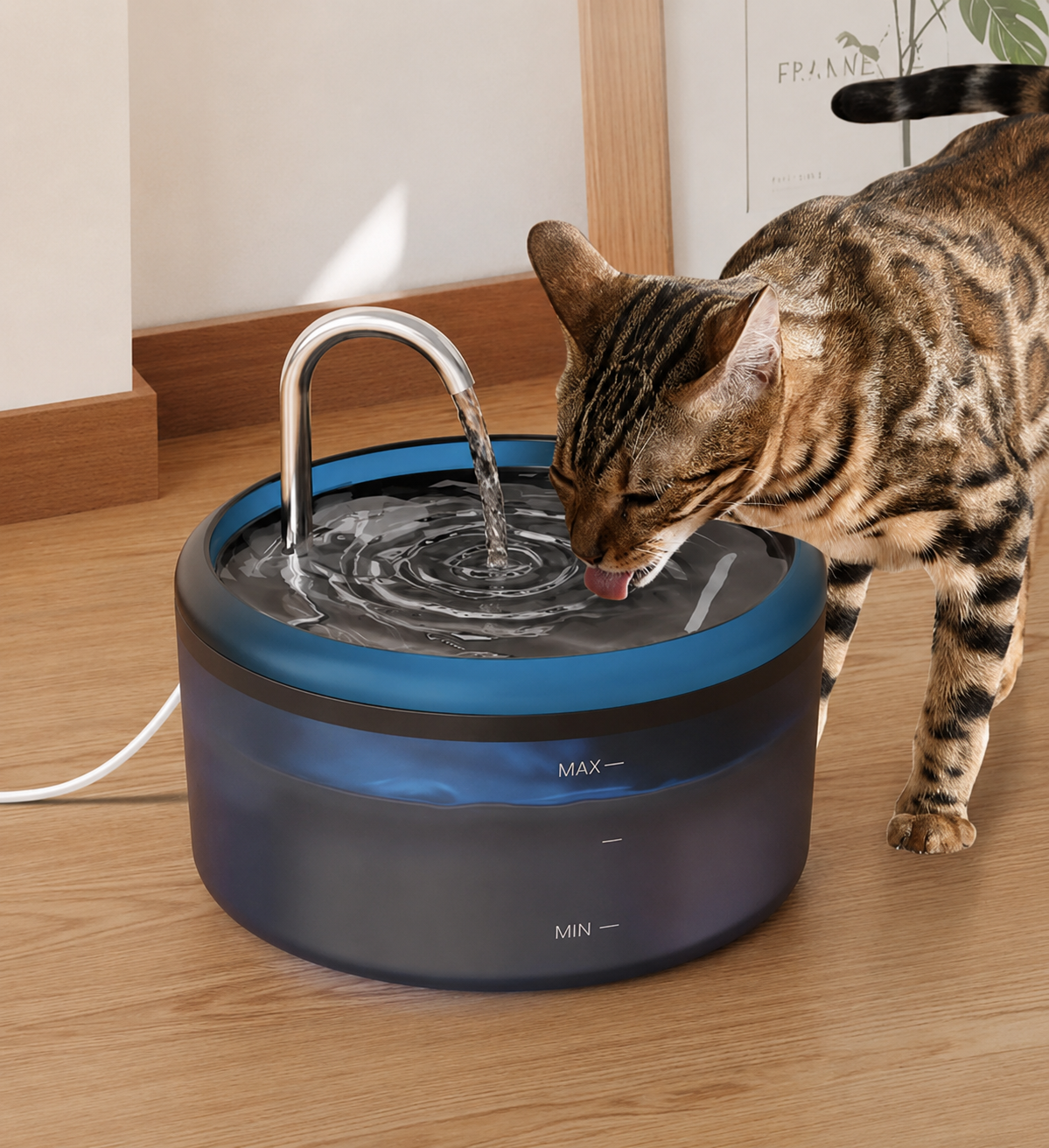 Fontaine à Eau Automatique 2,4L – Hydratation Silencieuse pour Chats & Chiens