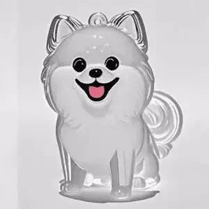 Porte-Clés Capsule Souvenir Poils d'Animal – Médaillon Mémorial Chien & Chat