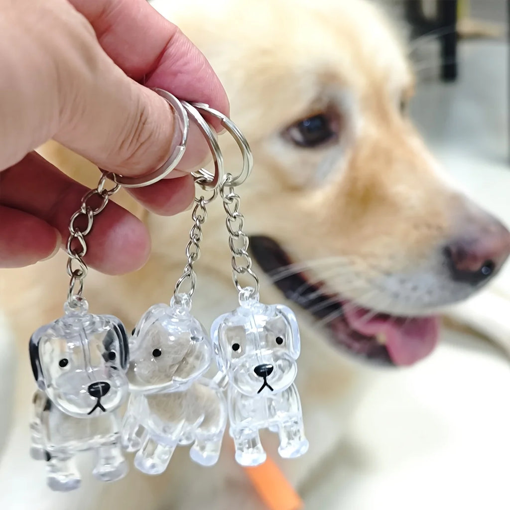 Porte-Clés Capsule Souvenir Poils d'Animal – Médaillon Mémorial Chien & Chat