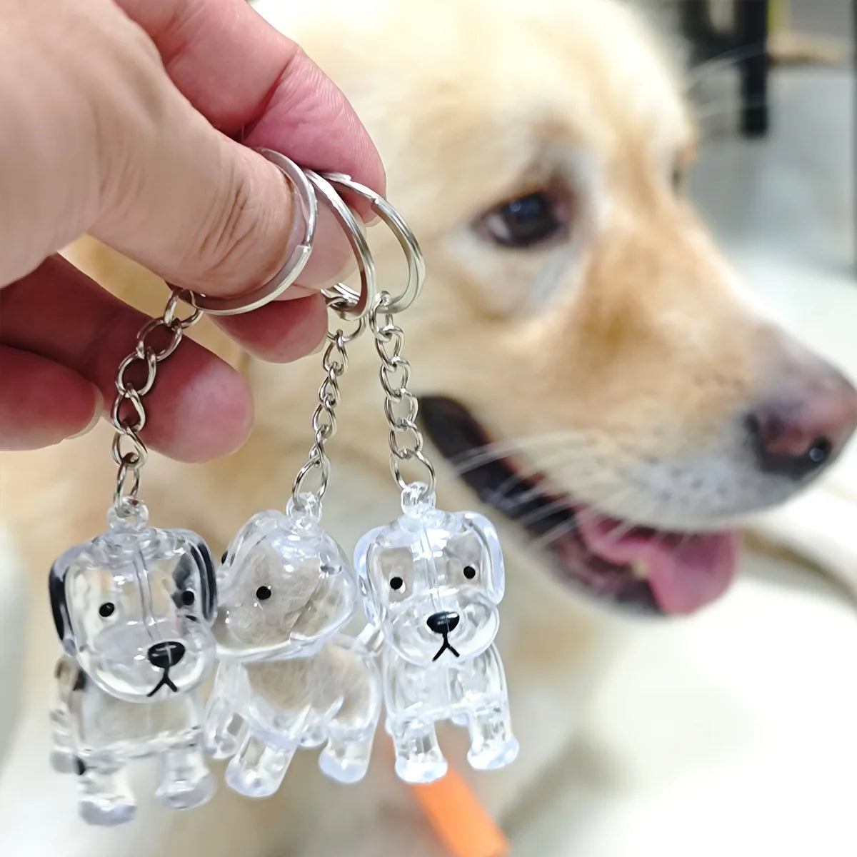Porte-Clés Capsule Souvenir Poils d'Animal – Médaillon Mémorial Chien & Chat