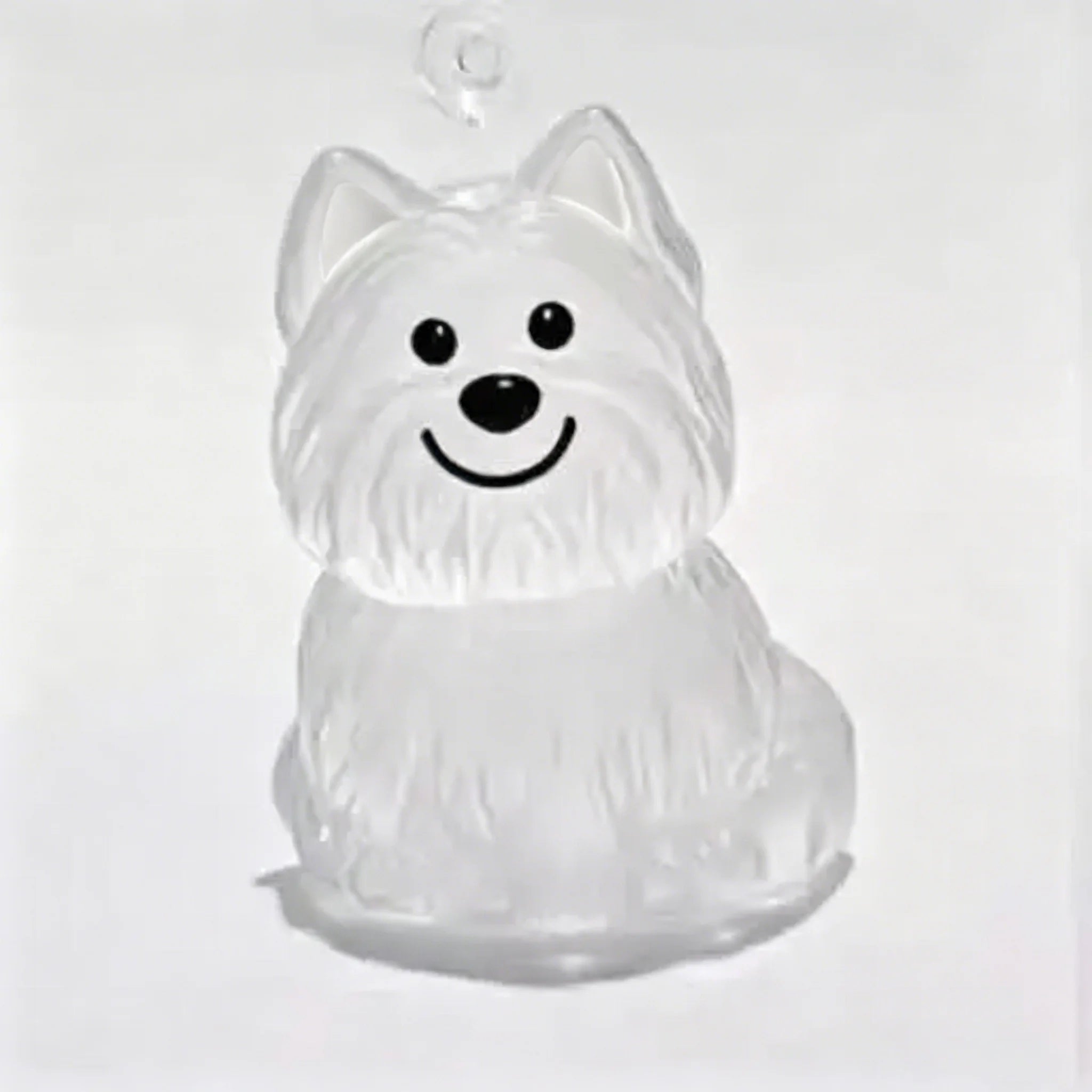 Porte-Clés Capsule Souvenir Poils d'Animal – Médaillon Mémorial Chien & Chat