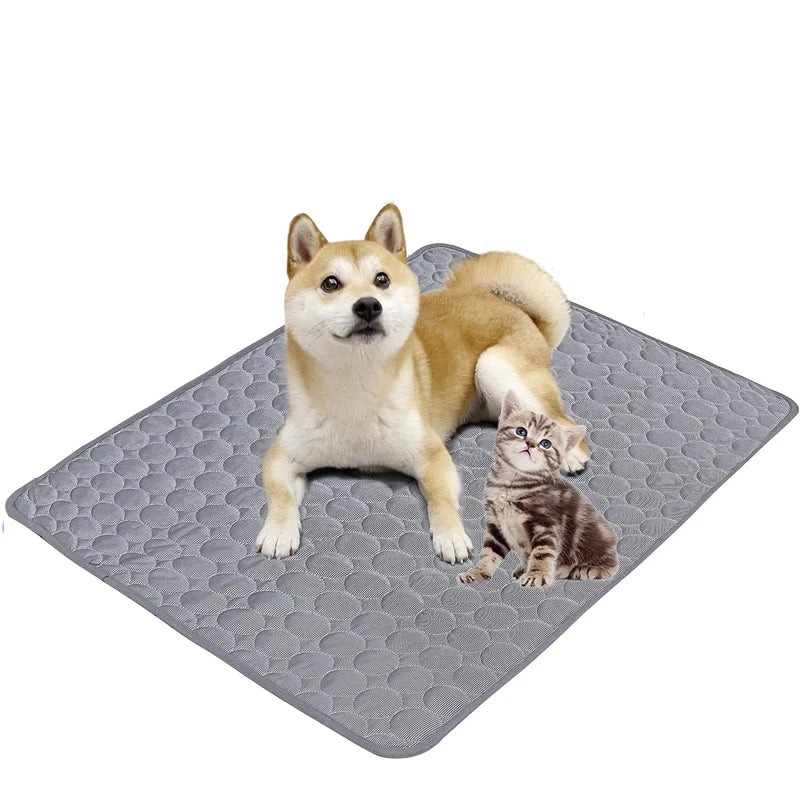 Tapis Rafraîchissant Respirant pour Chien