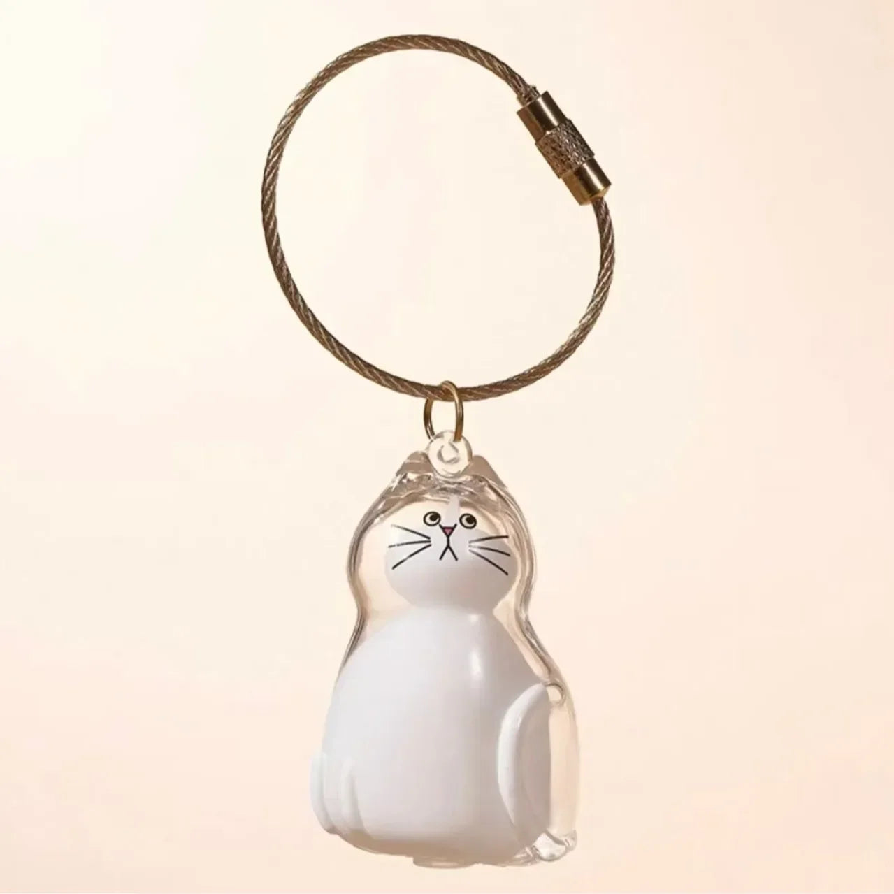 Porte-Clés Capsule Souvenir Poils d'Animal – Médaillon Mémorial Chien & Chat