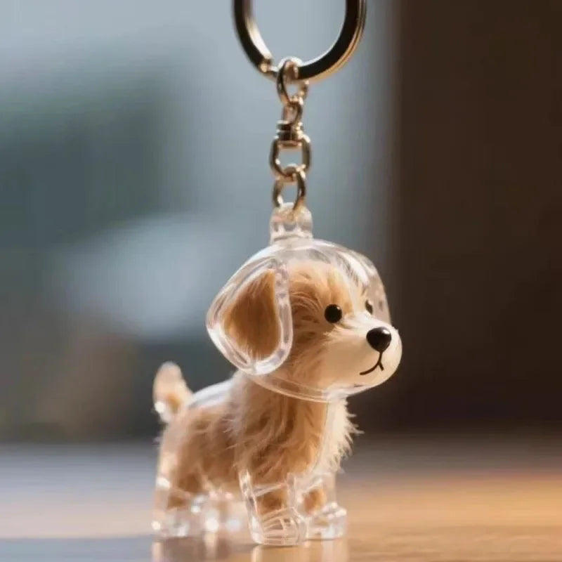 Porte-Clés Capsule Souvenir Poils d'Animal – Médaillon Mémorial Chien & Chat
